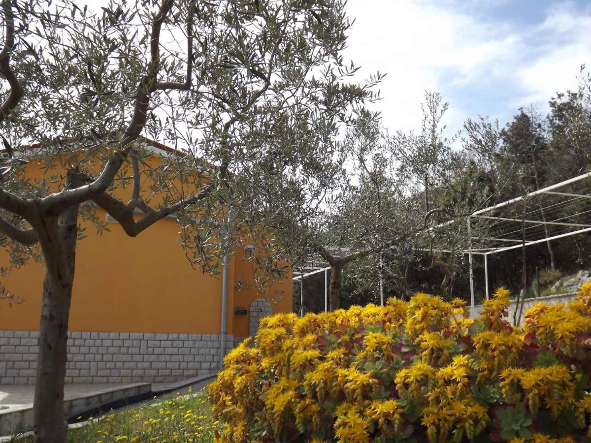 Apartments In Ravni/Istrien 30383 المظهر الخارجي الصورة